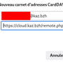thunderbird_saisie_carddav.png